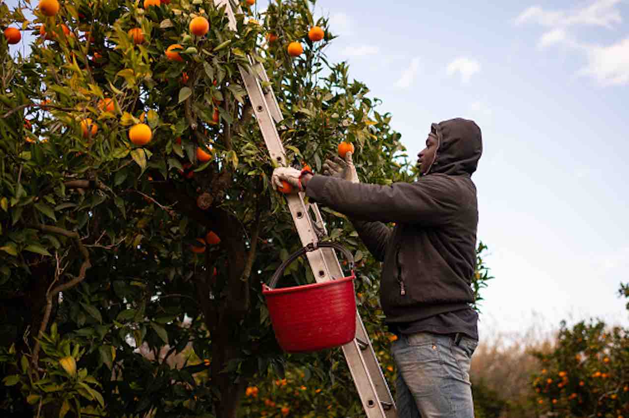 Decreto Maggio, nodo Migranti e aiuti alle imprese- il governo si spacca (Getty) - meteoweek.com