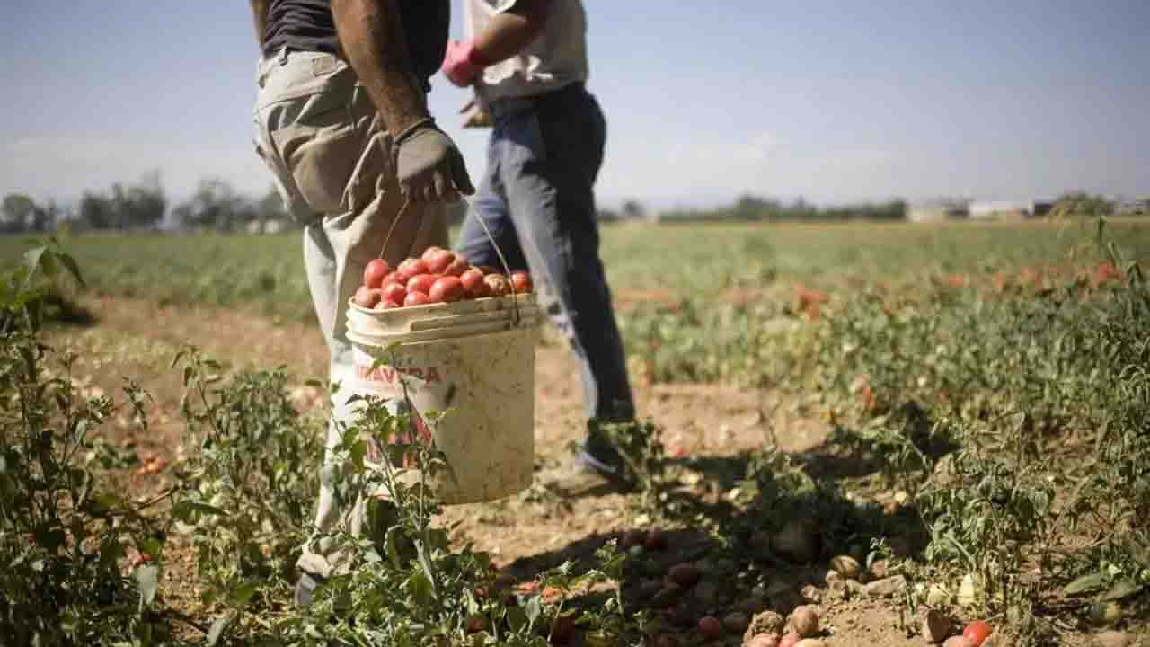 Imprenditore agricolo denunciato per sfruttamento Val di Non