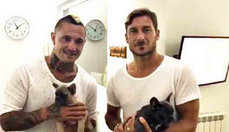 Totti Nainggolan truffa cani