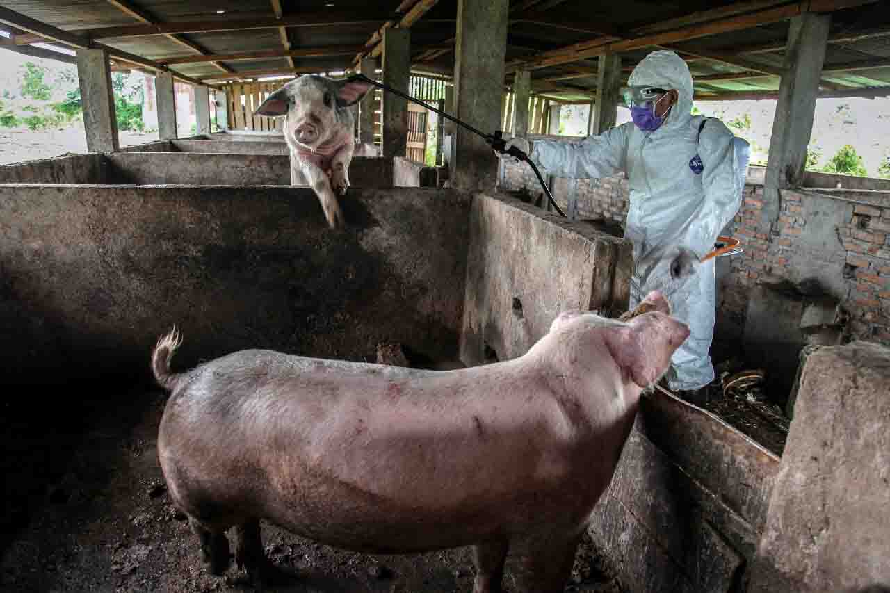 Nuovo virus pandemico dalla Cina