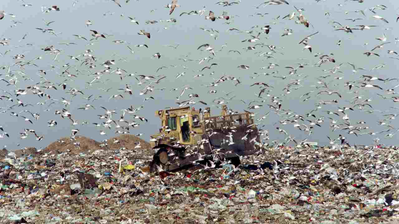 Sicilia, traffico illecito rifiuti: in manette anche il re delle discariche