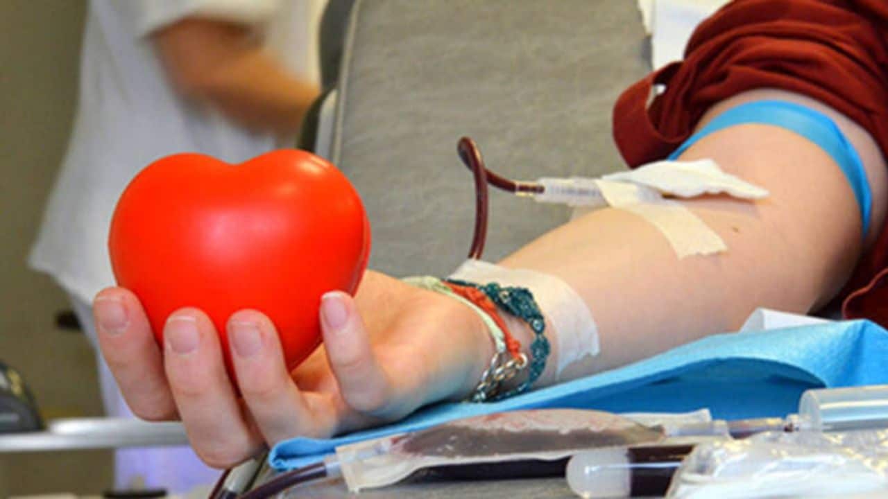 emergenza covid e solidarietà i giovani tornano a donare il sangue