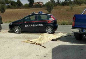 migrante travolto e ucciso dal tir sul quale viaggiava