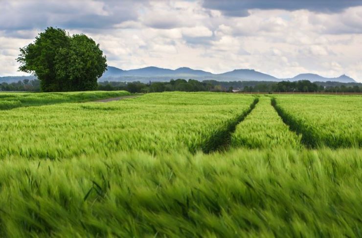 Agricoltore sposta il confine Francia-Belgio: rischio incidente diplomatico - www.meteoweek.com