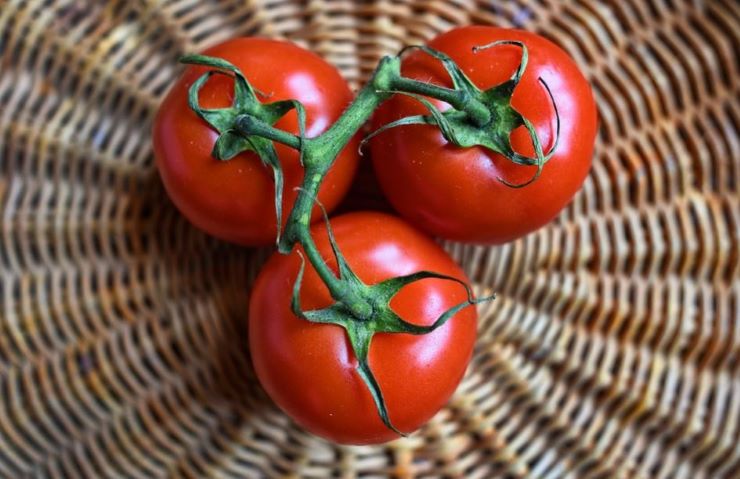 Passata di pomodoro falsa, sequestrate quasi 4 mila tonnellate di conserve - www.meteoweek.com