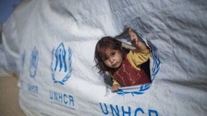 unhcr