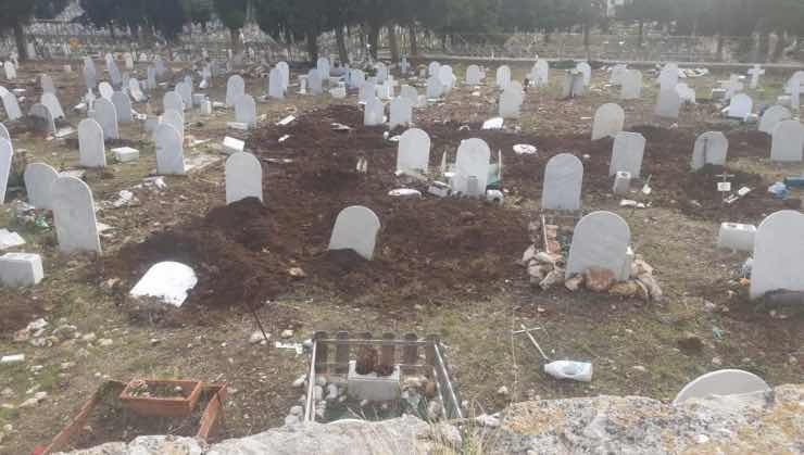 cimitero palermo cinghiali