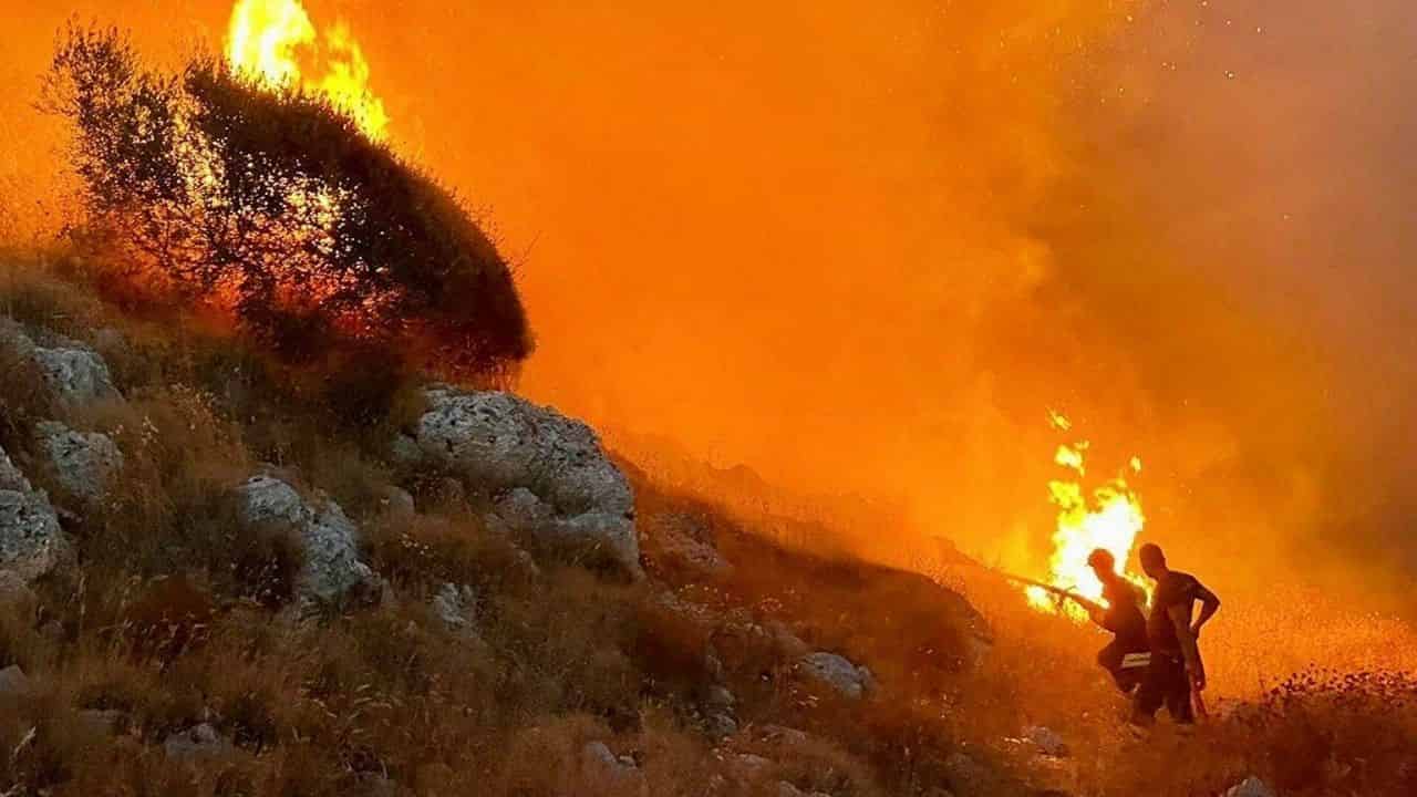 Coldiretti, aumentano gli incendi in pieno inverno - meteoweek