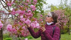 giallo sulla morte di Liliana Resinovich - meteoweek