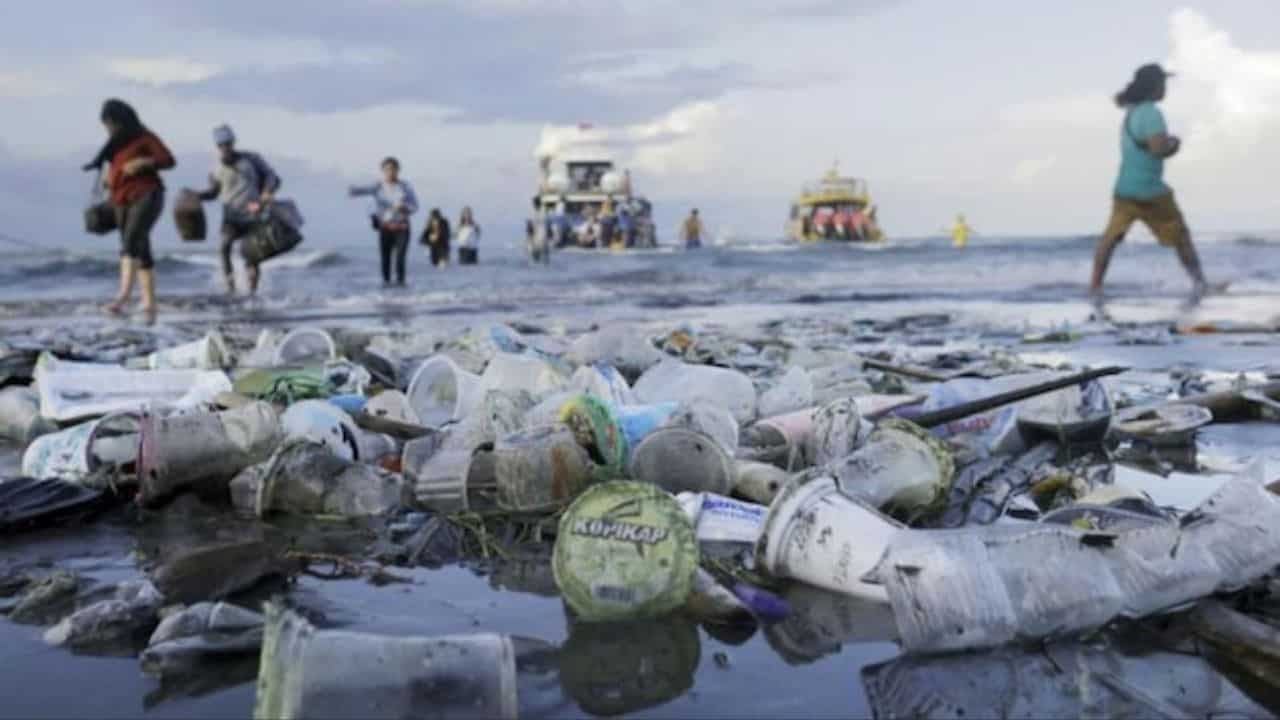 wwf inquinamento plastica oceani - meteoweek