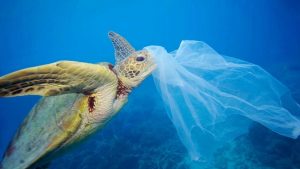 wwf inquinamento plastica oceani - meteoweek