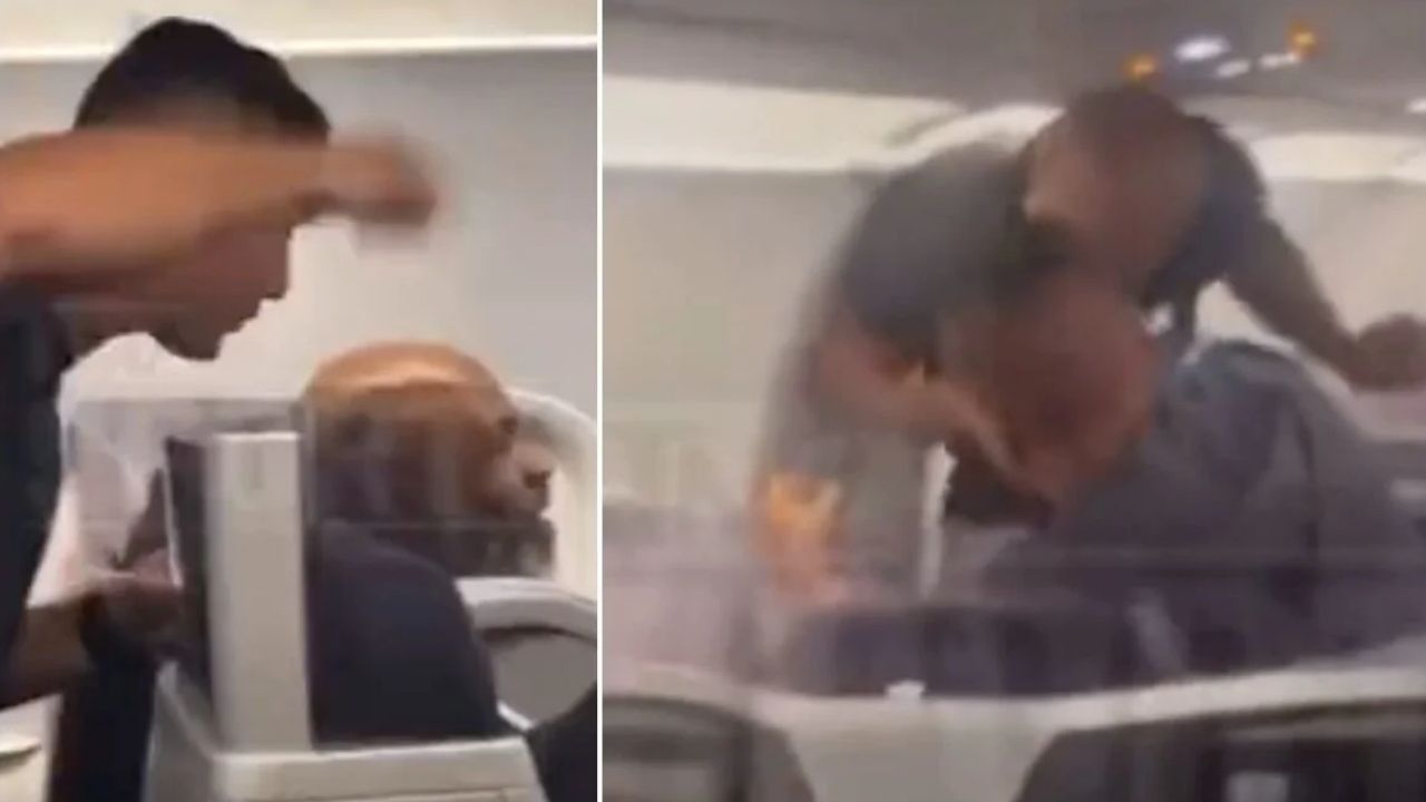 Mike Tyson prende a pugni in viso un passeggero in aereo - meteoweek 20220421