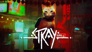 Stray 20220722 tech