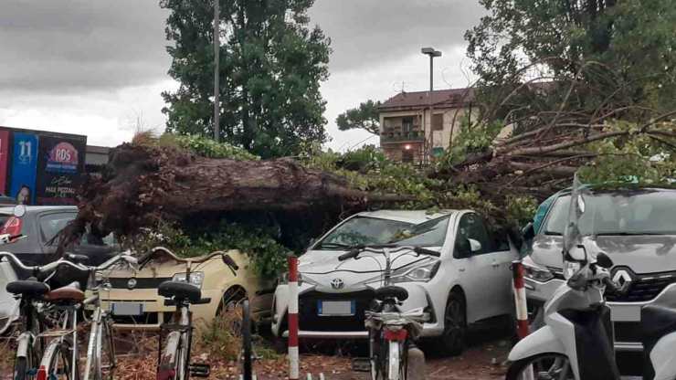 Maltempo, è tragedia: travolta da un albero per salvare una clochard dalla tromba d’aria