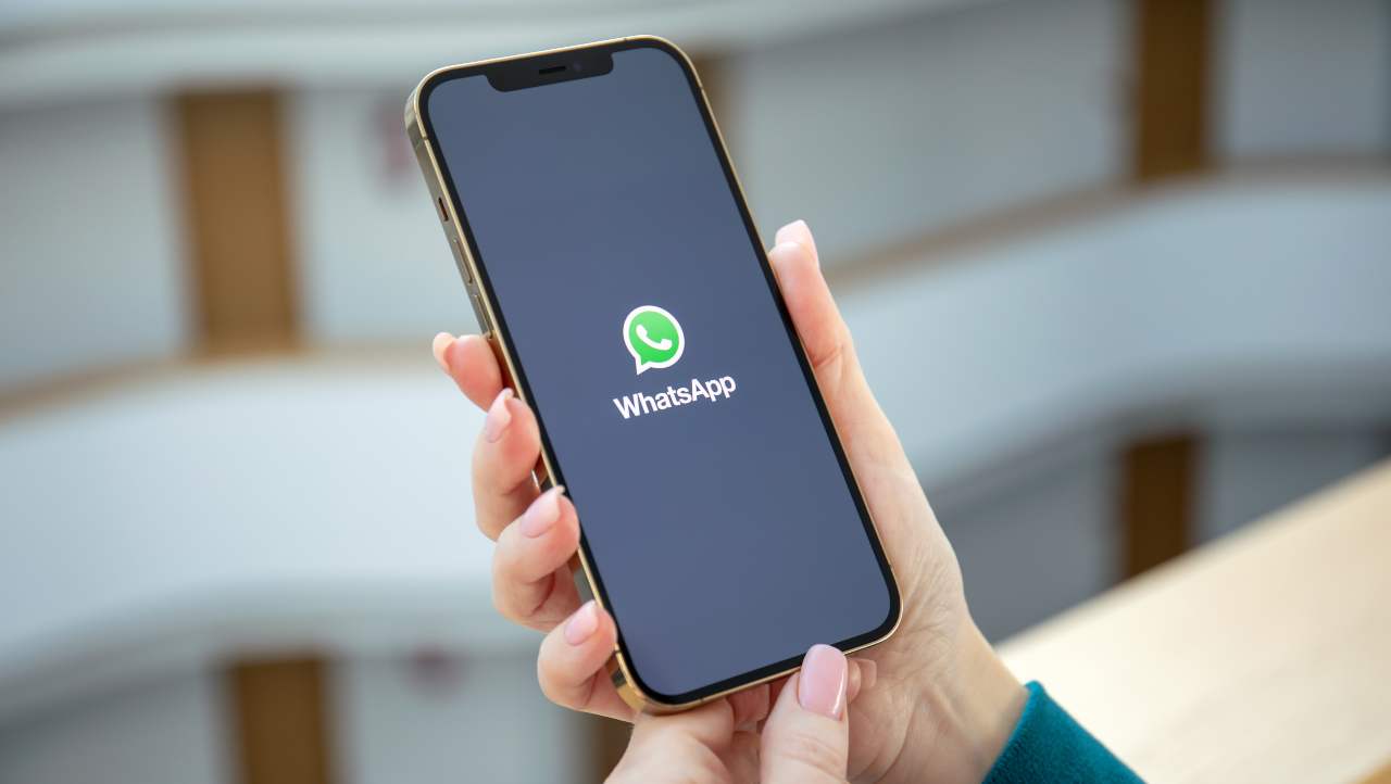 WhatsApp arriva la svolta: non serviranno più app terze per questa utilissima funzione