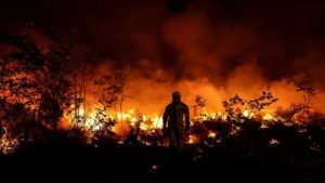 L'estate 2022 è stata la più calda degli ultimi 20 anni- meteoweek.com