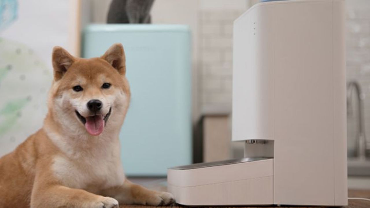 Xiaomi si prende cura, in maniera smart, dei nostri animali domestici: cani e gatti in salute e sicuri