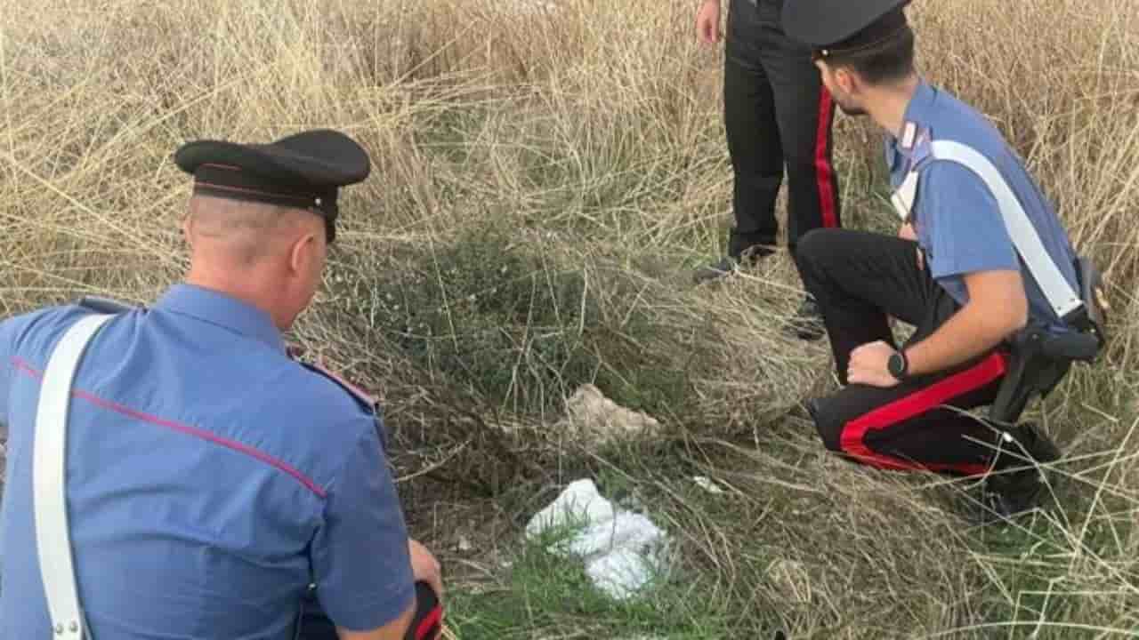 Neonato abbandonato in un sacchetto, chiamato come il carabiniere che l’ha salvato - meteoweek.com