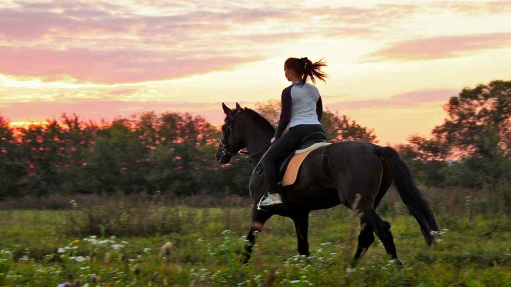 Equitazione: allevia lo stress e mantiene il cervello allenato