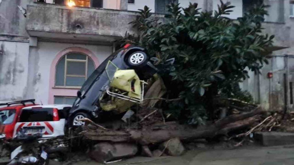 Frana a Ischia: case travolte da un fiume di fango, auto e alberi trascinati fino al mare: diversi i dispersi [VIDEO]