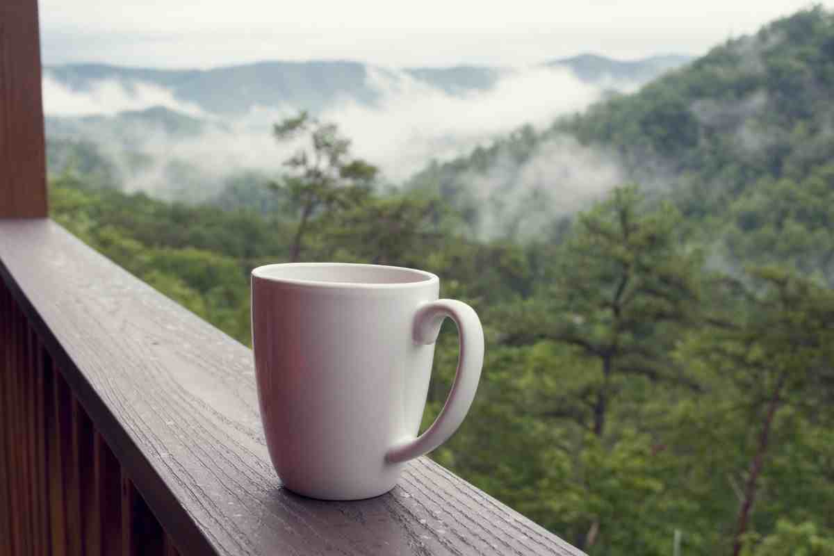 Addio alle piantagioni di caffè